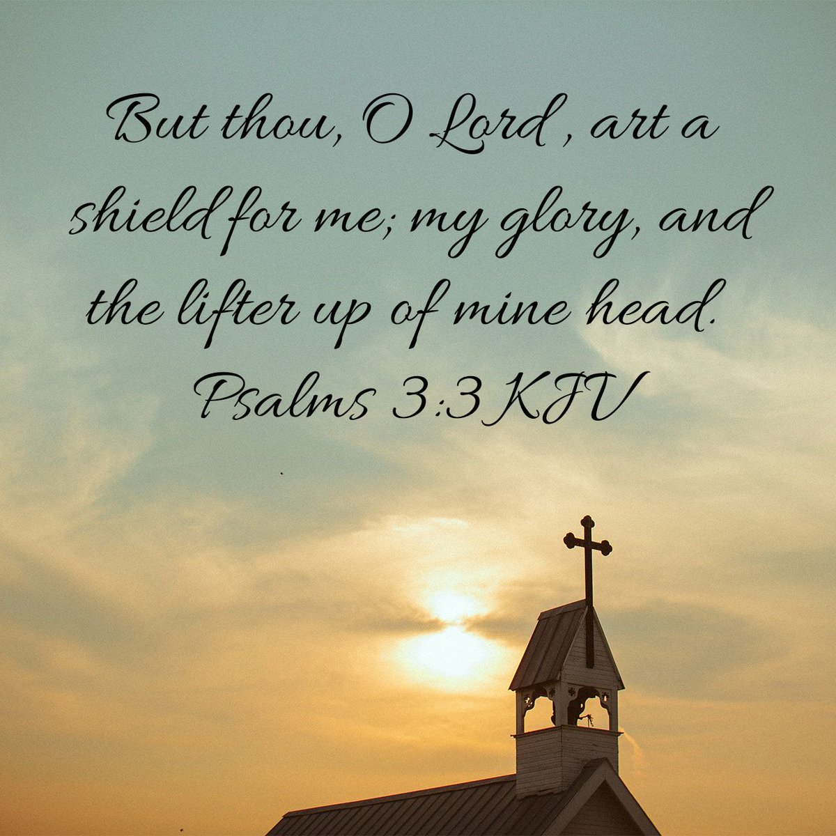 But thou, O Lord , art a shield for me; my glory, and the lifter up of mine head.
Psalms 3:3 KJV
bible.com/bible/1/psa.3.…
