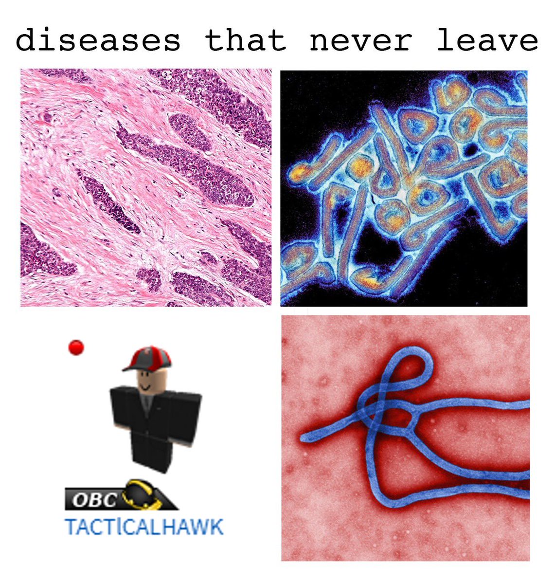 iSchwenzer (@ischwenzer_rblx) on Twitter photo 