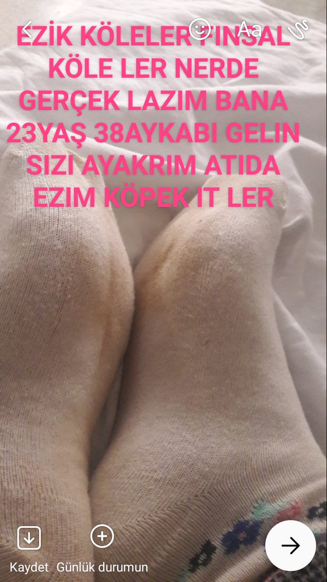 KÖPEK  AYKRIMA MAHKUMSÜN