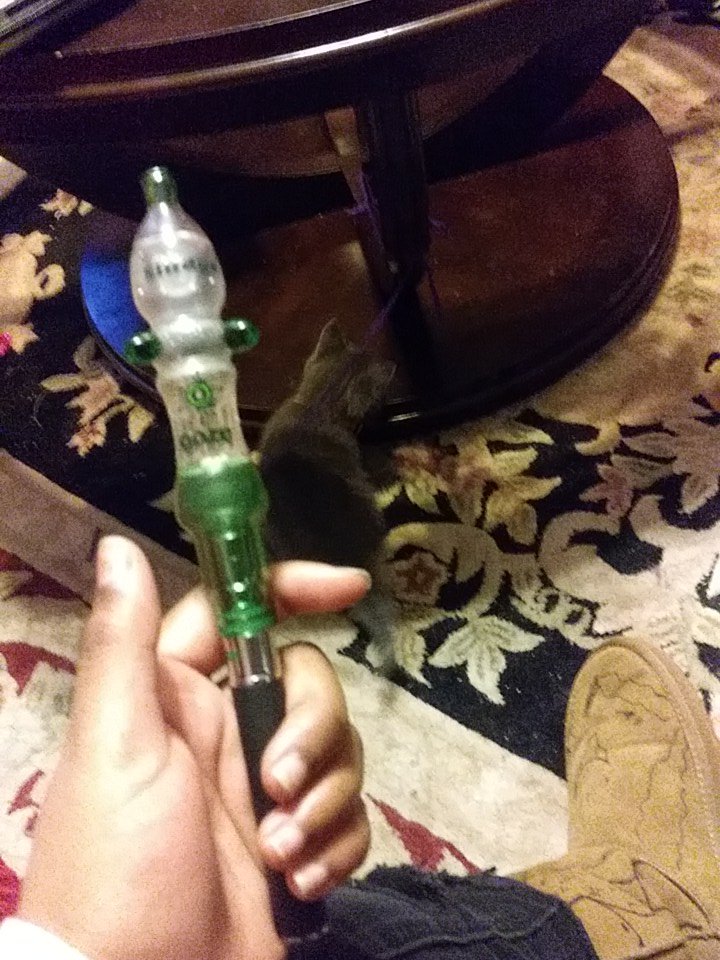 LIPSTICK_ILIKE's tweet photo. #ooze this shit lit #DAB https://t.co/46rGRI670I