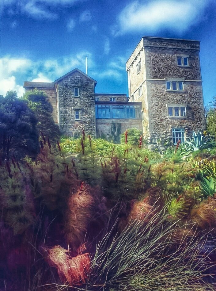 Elan Durham (@europabridge1) on Twitter photo Beautiful Dorrien-Smith home <a href="/TrescoGarden/">Tresco Abbey Garden</a>🔆 Beautiful Dorrien-Smith home <a href="/TrescoGarden/">Tresco Abbey Garden</a>🔆