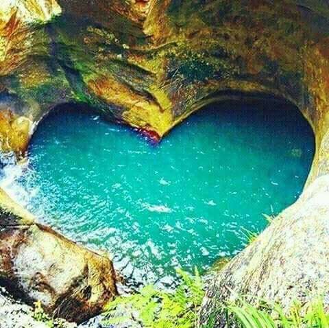 oaranda's tweet photo. La naturaleza es sabia y nos ama... #Travel #Nature https://t.co/7higZL2aix