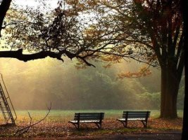 바람은 숲을 울려 멀리로서 들려오고 
밤들어 하늘 차니 서리 아마 내리겠네 
물가에 뜬 기러기 떼를 지어 소리할 제 
서산 머리 지는 달 반만 걸려 떠있구나.