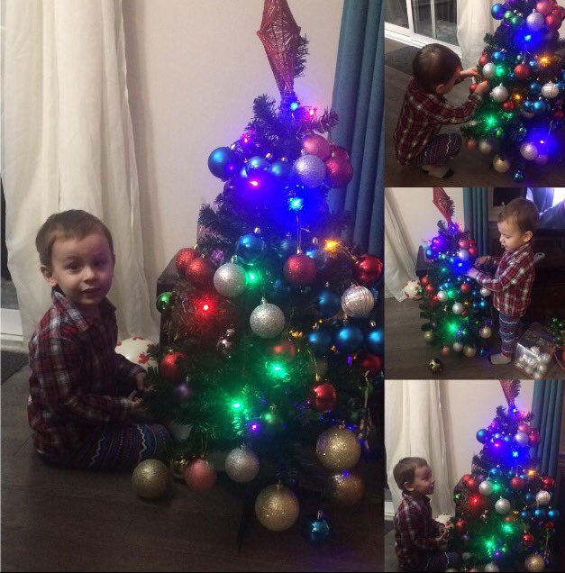 miranda_blank's tweet photo. We bought him his own tree to decorate this year... I think he likes it! #toomanyornaments #gettingintotheholidayspirit https://t.co/EmxDRDEcgB