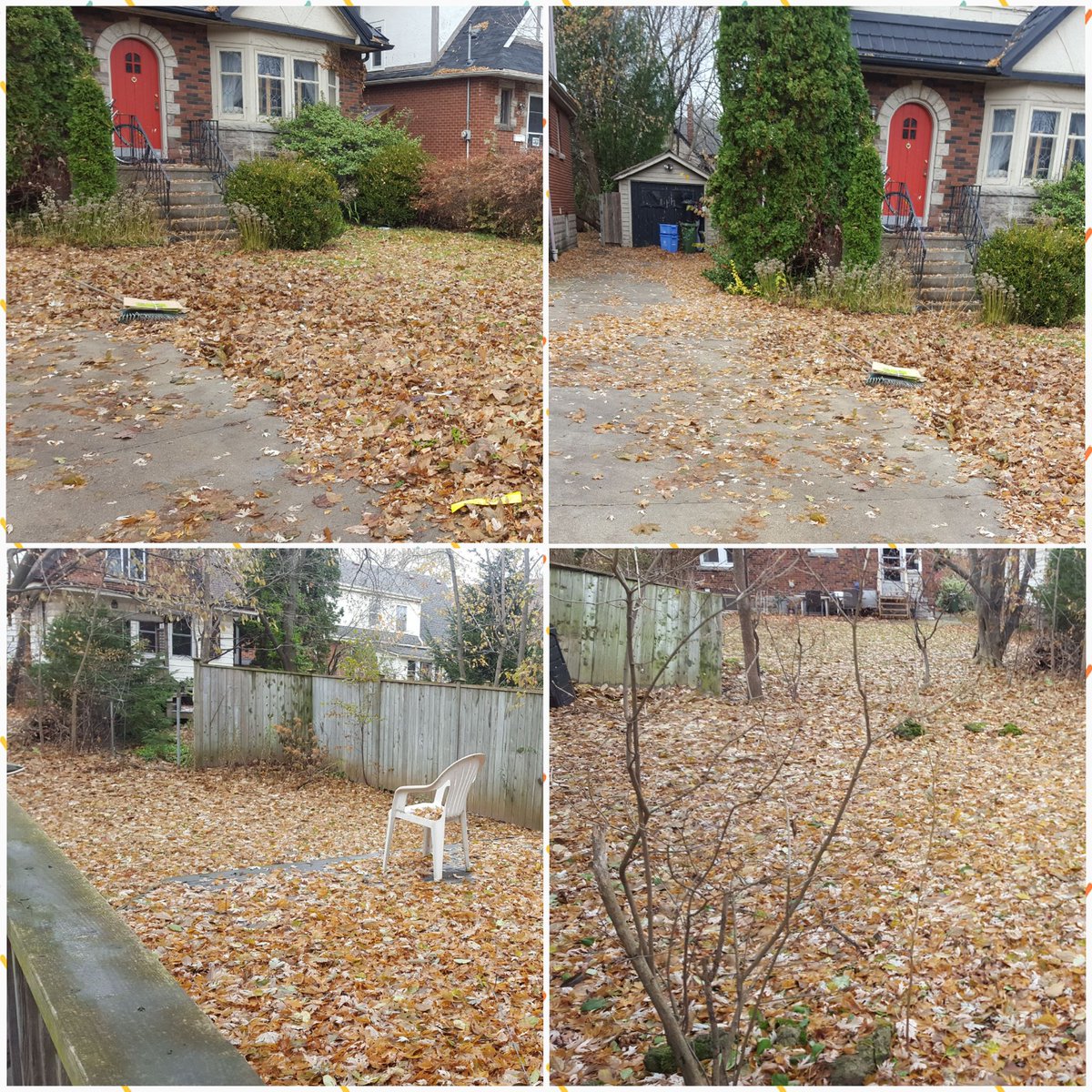 GriffsPm's tweet photo. Leaf your yard clean up to us. #GRIFFSRULE #HamOnt https://t.co/1Kjfck1u1A