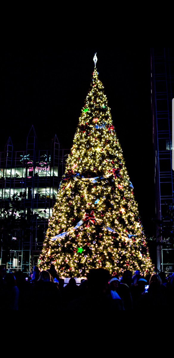 LivingPgh's tweet photo. Beautiful shot of the tree and ice rink during #LUN2017. @PPG @DowntownPitt https://t.co/KDGp2lbJWu