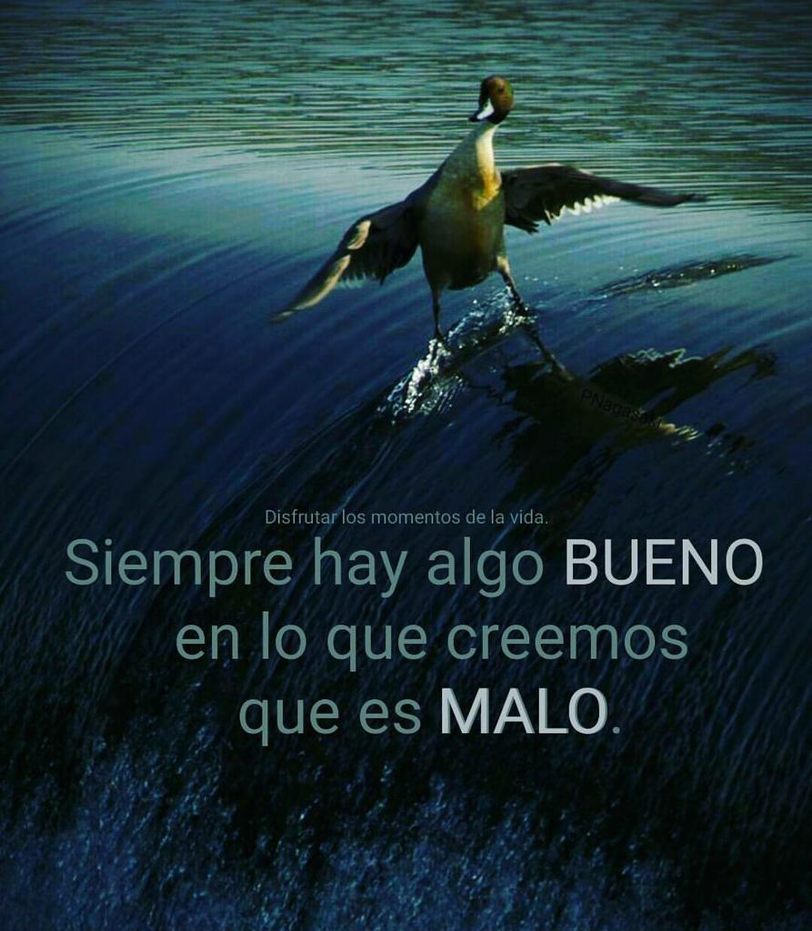 daniek_d's tweet photo. Que comienzeeeee!! https://t.co/k0mzqtKxO0