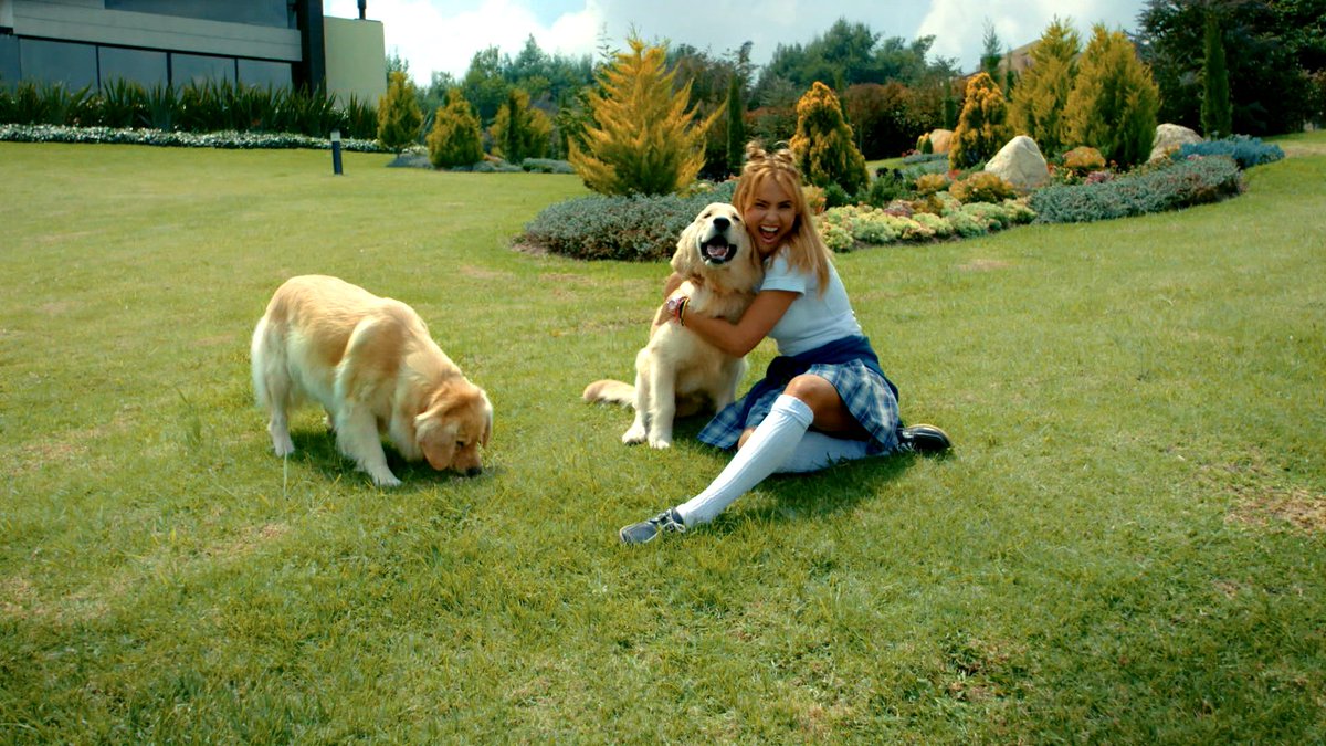 tctelevision's tweet photo. ¡Preciosos!😍 #LaBarbys 👩 y sus amiguitos🐶 sí que endulzan nuestra noche en #FranciscoElMatemático2017…📚 ¿Te parece que es la chica más linda💗 del #JimmyCarter?🏫 https://t.co/ZN5koRUhFb