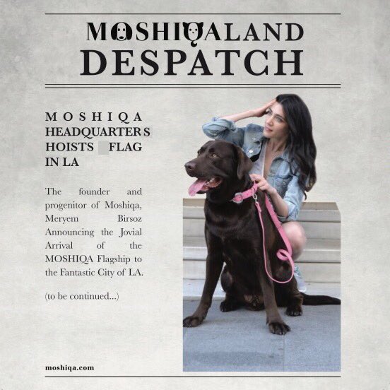 Moshiqaland's tweet photo. Moshiqa Founder Meryem Birsoz: "A new chapter in our wonderful journey! Now MOSHIQA is in L.A. We will soon unfurl our L.A. Edition to celebrate 🎶🐶🎶". #moshiqa #moshiqaland #moshiqslanddespatch #LA #losangeles 
https://t.co/OrcrTCKyDL #doglovers #petlovers https://t.co/GBXDvcv50R