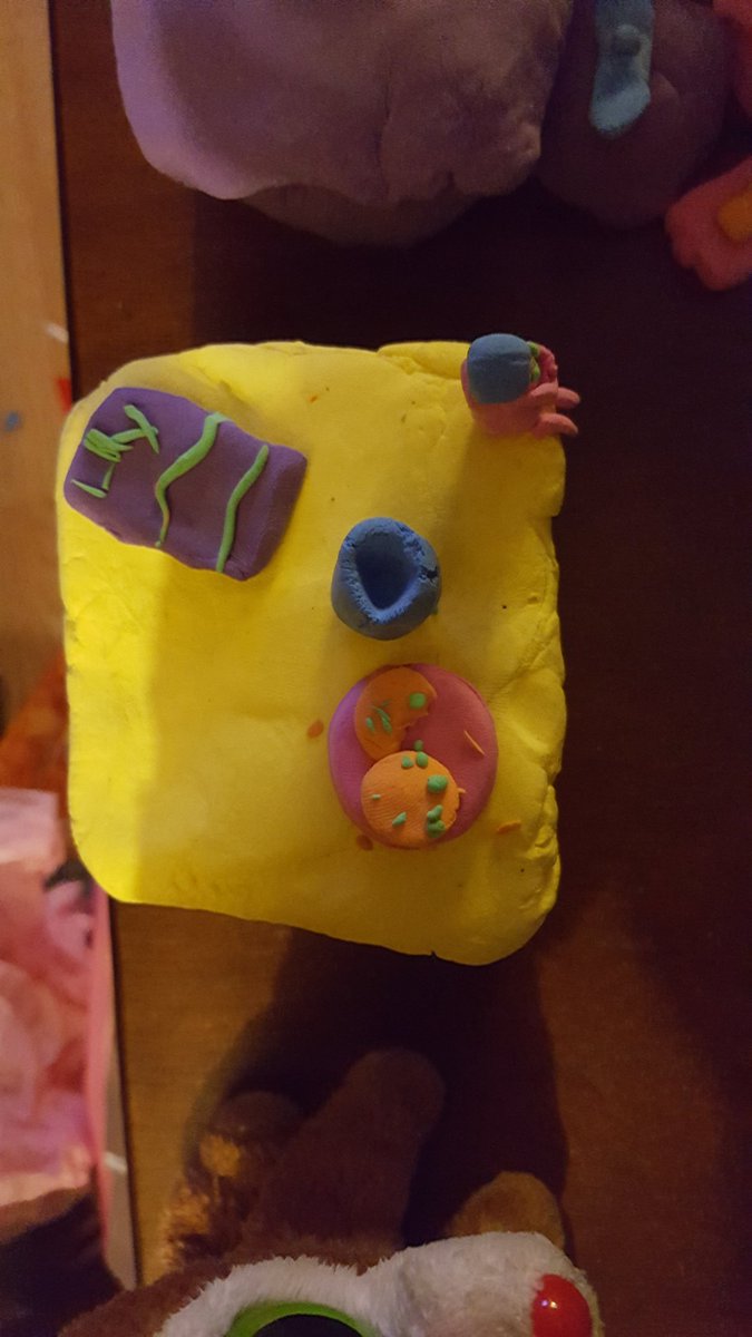 ChristaLentz's tweet photo. Stand w Santa's cookie and elf on the self #tryazon #morphmixer @Tryazon https://t.co/mfPAXyShy0