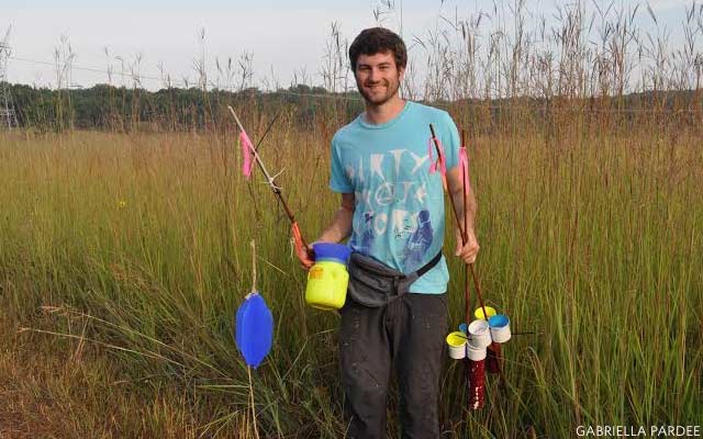 nature_org's tweet image. This study confirmed that if prairie habitat is restored, bees will repopulate it. bit.ly/2zKGnWK