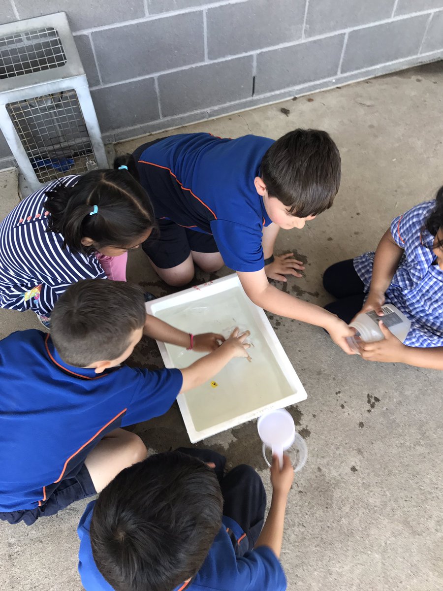 AmyGalea7's tweet photo. Which container holds 1 litre of water? @AitkenCreekPS https://t.co/WYKuTOYizd