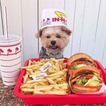 Photo by Food Porn (@_fdprn)