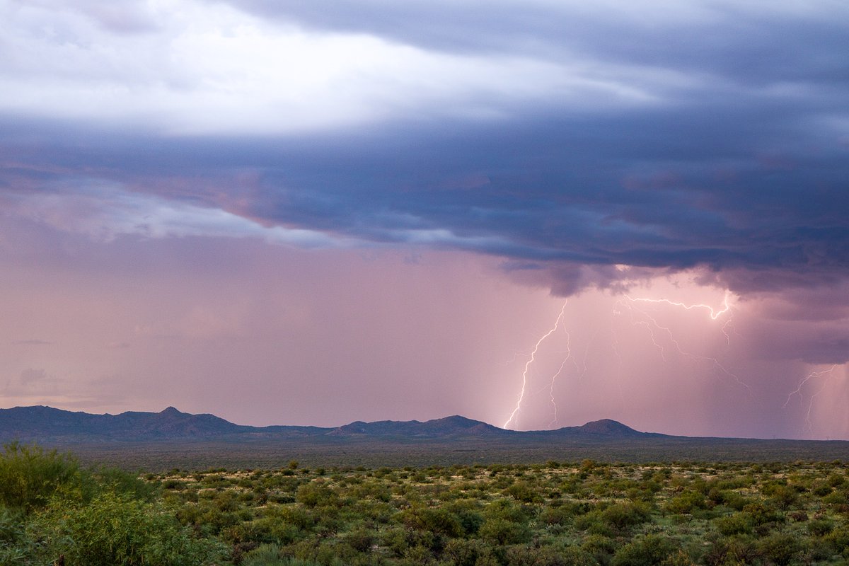KRimcoski's tweet photo. North of Tucson at the end of July, when monsoon season came to an abrupt end as well
#azwx #weather #lightning #monsoon2017 https://t.co/q1EzVsLVXX