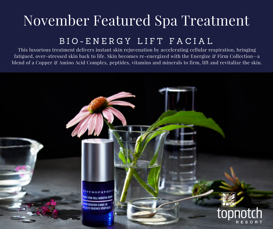 TopnotchResort's tweet photo. This November's #Topnotchspa service of the month: Bio-Energy Lift Facial & receive discounts on @Naturopathica products. More: 802.253.6463 https://t.co/V4fnYZImtn