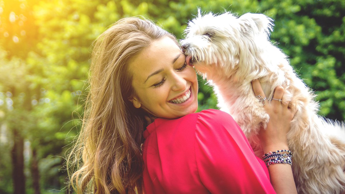 TODAYshow's tweet photo. Want to live a longer, healthier life? Own a dog, new study says https://t.co/Ru0iBloeev https://t.co/Fj21hI58yr