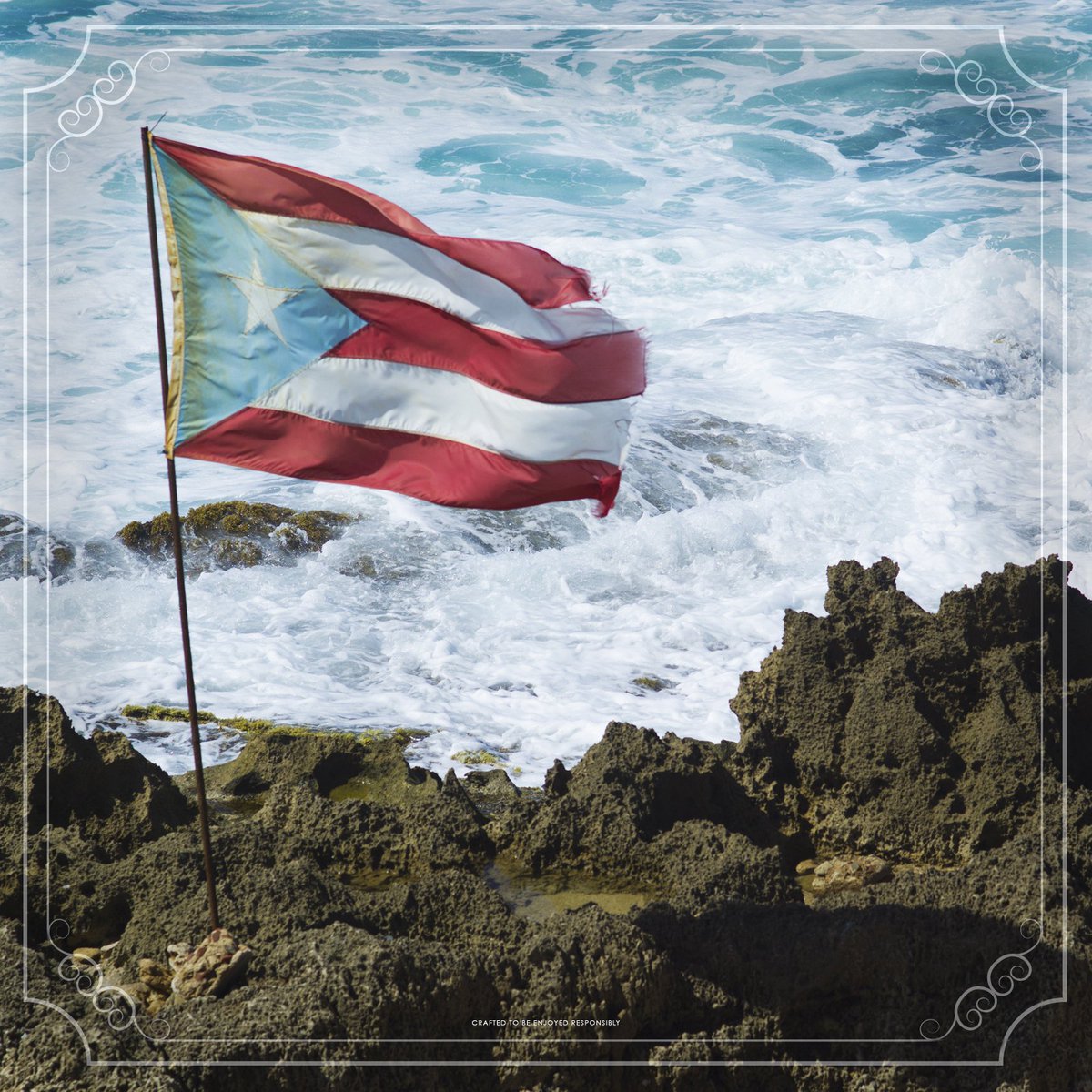 donqrum's tweet photo. On this day in 1493, the island of Puerto Rico was discovered. We think that deserves a toast. ¡Salud! #Exceptional #DonQRum https://t.co/BoBdE6vB4w