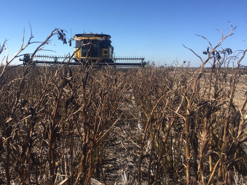 Back into it after 18mm rain delay. Missed out on hail thankfully.