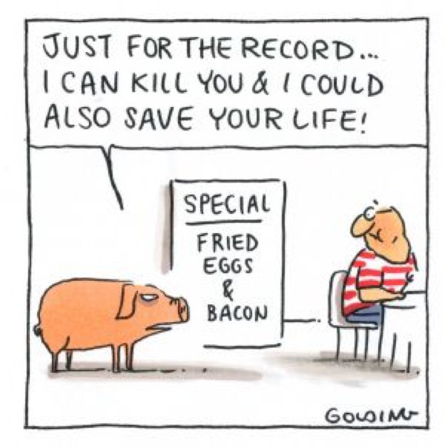 Shortage of organs? We’re one step closer to pig-to-human organ transplantations goo.gl/9TM9Ny  @TranslationalRP  #translationalresearch