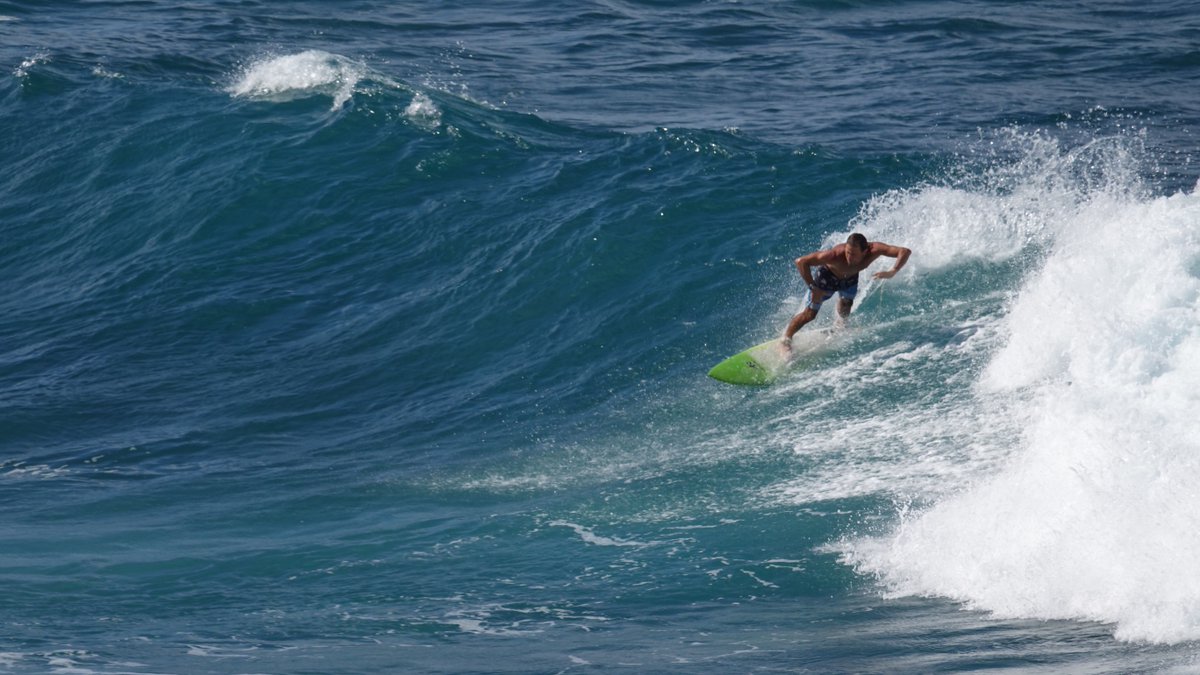 Christine Hartmann tweet media