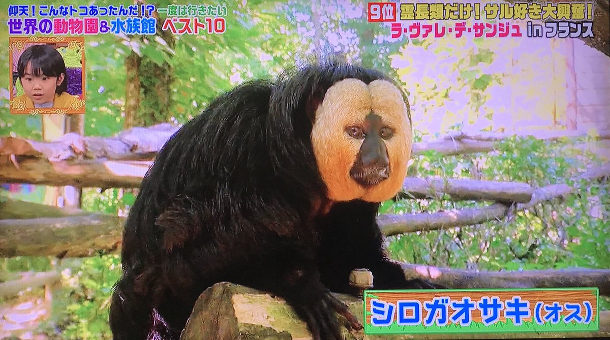 世界の動物園