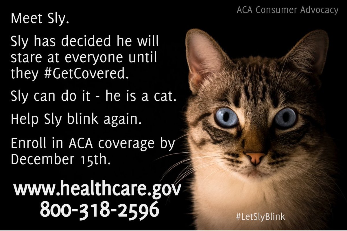 ACAConsumer's tweet photo. @2018ACASignup #GetCovered #LetSlyBlink https://t.co/zv3Gb4HWqM