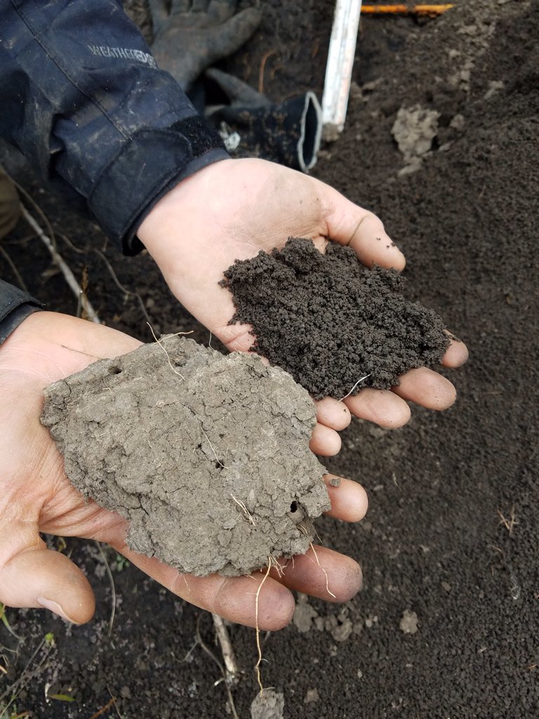 billyjbeck's tweet photo. Intact #streambank material on L- same stuff as #colluvium on R. Colluvium wet from rain. No rain hit vert bank face https://t.co/zDriMgfNTn