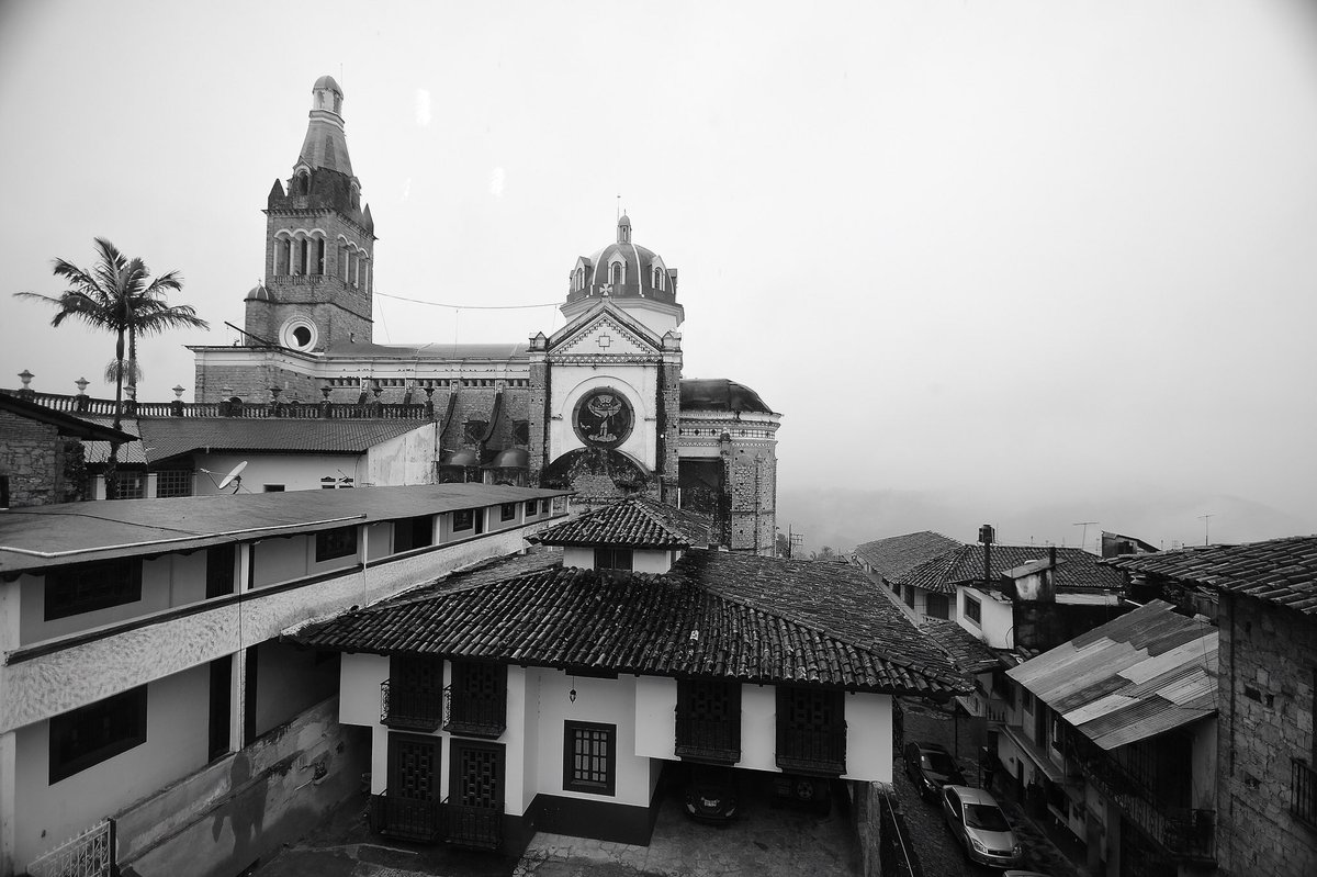 Jose Zarate tweet media