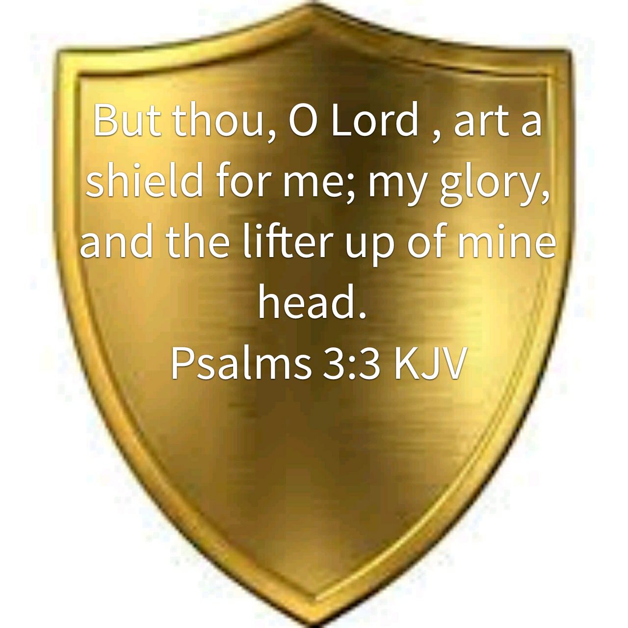 Christian Gamer on Twitter: "But thou, O Lord , art a shield for me; my glory, and the lifter up of mine head. Psalms 3:3 KJV… "