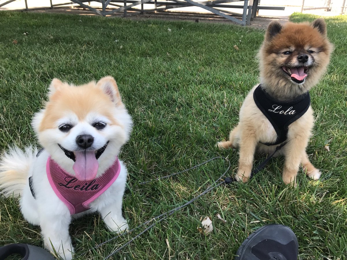 Coming home to this....priceless! 💞