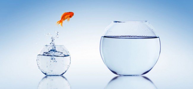 _nopsau's tweet photo. It does not matter what is driving change and innovation in your organisation, embrace it and run with it.

#CommunityNursing #CommunityCare #PalliativeCare  #MedicationAdministration #MentalHealth #NOPSMedicationconsortium #residentialcare
https://t.co/Gf3cfHaGT3 https://t.co/e7R4BvJadc