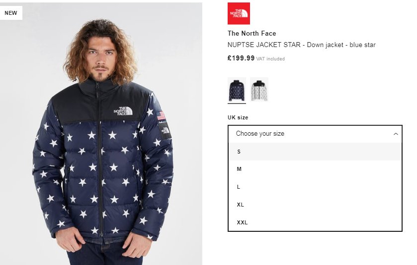 north face nuptse zalando