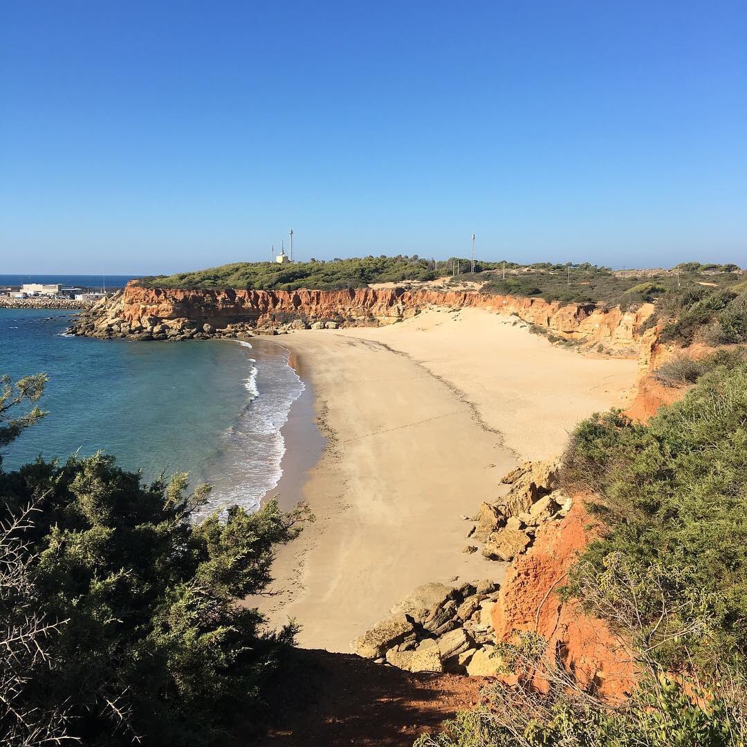 Conil_Turismo's tweet photo. Buenos días y buen inicio de semana desde #Conil. Qué tal un paseito por nuestras calas? Hoy os mostramos  lo bonita que está la Cala del Aceite en otoño. Foto de Alejandro Garcia-Salazar
#calas #playas #caladelaceite #Cádiz #otoño #naturaleza #MagicCadiz https://t.co/s0SBIu8jYk