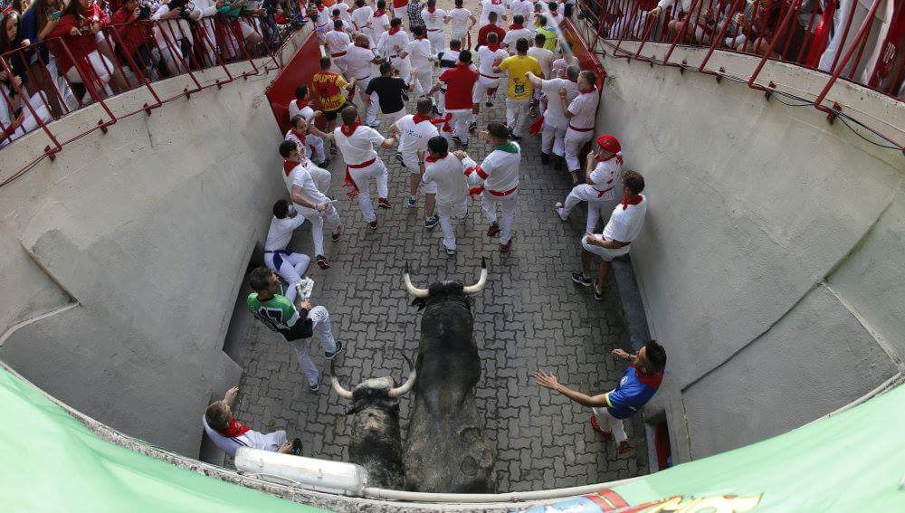 Javitaurino__'s tweet photo. Solo faltan 228 dias 3 horas y 16 min para San Fermin.#Yafaltamenos #Pamplona https://t.co/HOr00JVRW7