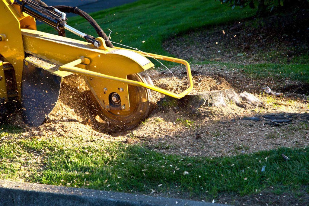 Treeraider's tweet photo. Now you can easily hire the tree services for #Stump #Grinding, #Tree_Removal, #Tree_Pruning, #Stump_Removal from #Tree_Raider. We are professional and Insured Tree service providers serving #Epping, #Castle_Hill, #Blacktown, #Ryde and #Baulkham_Hills; Call us now 0414 762 797. https://t.co/wAv7n668bO
