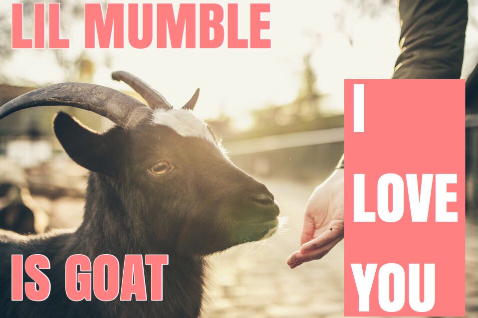 MumbleGenius tweet picture