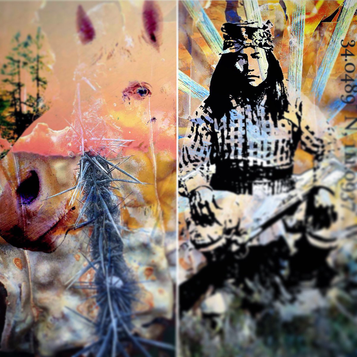 THiS_t3ch's tweet photo. Sneak peek at two new works! #thist3ch #arizona #graphicdesign #contemporaryart #interiordesign #digitalart #photomanipulation #artist #horsert #nativeart #interiordecor #phoenixdecor #printsforsale #decorate #photography https://t.co/iNzwrMc1pR