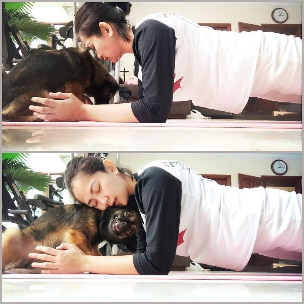 FellyLohy's tweet photo. #myroxy π sehat yaa π
#mustlovedogs #mysimplyhappiness #doglover https://t.co/PNCf2fEO9X