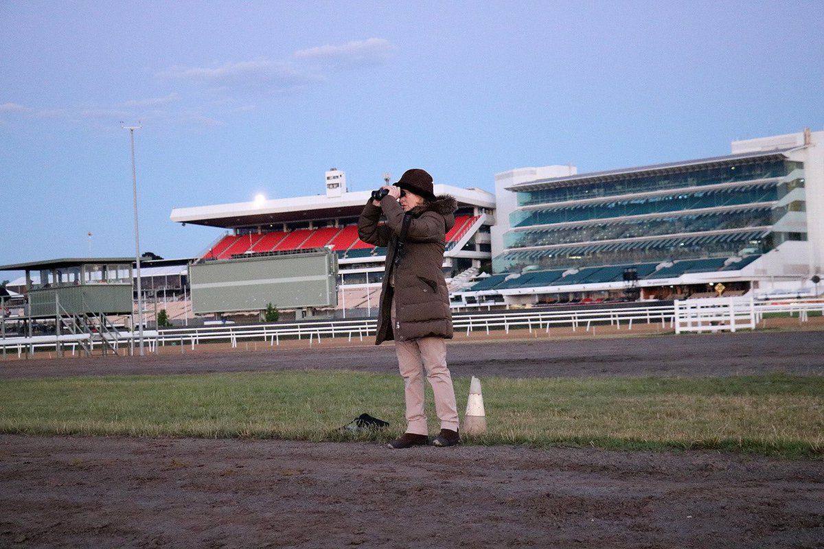 RT <a href="/GaiWaterhouse1/">Gai Waterhouse AO</a>: Keeping a watchful eye on my horses <a href="/FlemingtonVRC/">Victoria Racing Club</a> this AM. Another Spring Carnival done &amp; dusted ✅ Adrian &amp; I could not have done it without the help &amp; support of our wonderful staff &amp; owners 😘👏🏽 #bringon2018