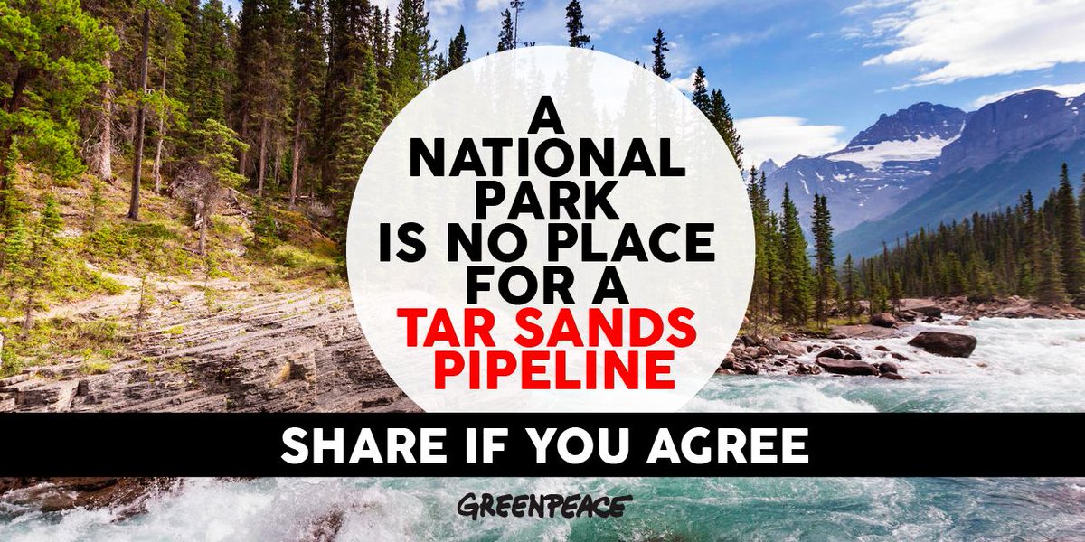 MikeHudema's tweet photo. Kinder Morgan's pipeline has spill 6 times in a National Park alone. Share if you think a National park is no place for a pipeline: https://t.co/cZRwJ7TIIC
#cdnpoli #bcpoli #NoKXL #StopKM #WaterIsLife https://t.co/q2PVG3yJvw
