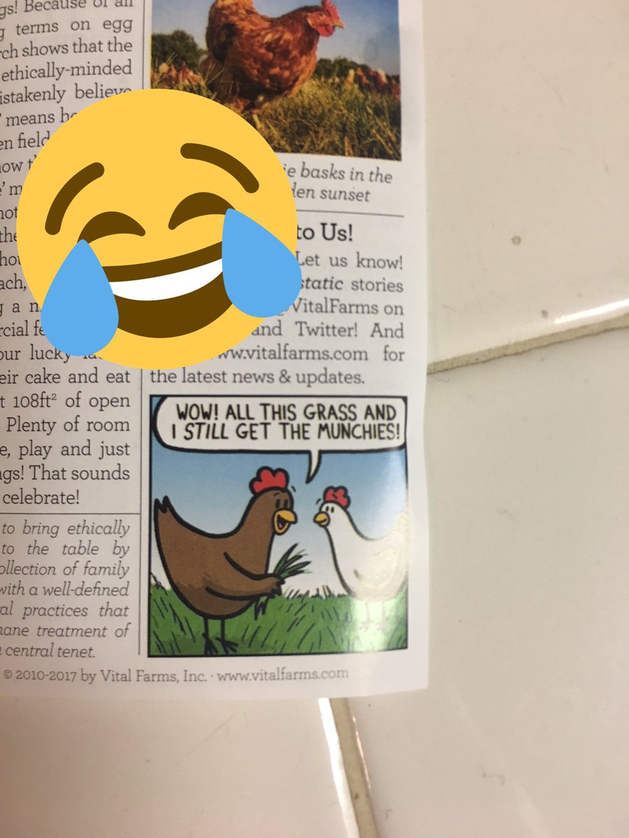 Shermstyle's tweet photo. If only all my food had such hilarious puns @vitalfarms #Eggstastic #PastureRaisedForeva https://t.co/icbTWbgzgO