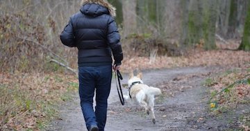 LetsFaceItCare's tweet photo. "#DogOwnership Linked to #LowerMortality"
https://t.co/uLV3h1f8nb       
#LatestHealthCareNews https://t.co/yfHMcv2smu