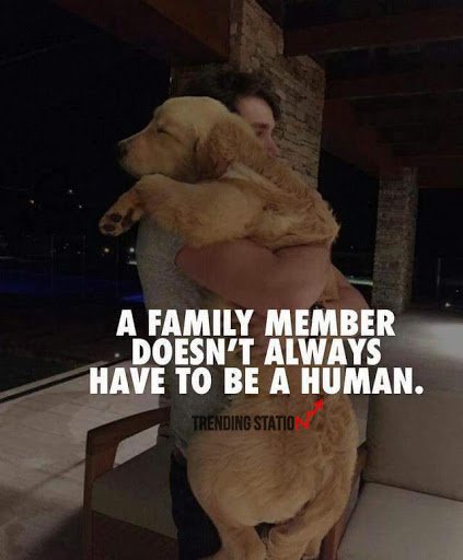 StationTrending's tweet photo. Animals are also family members๐๐๐
#dog #pet #petlove #care #family #lovingmember #human #pets #like4like #like4follow #Trending #trendingstation #follow4follow #followus https://t.co/GXshn9NU0x