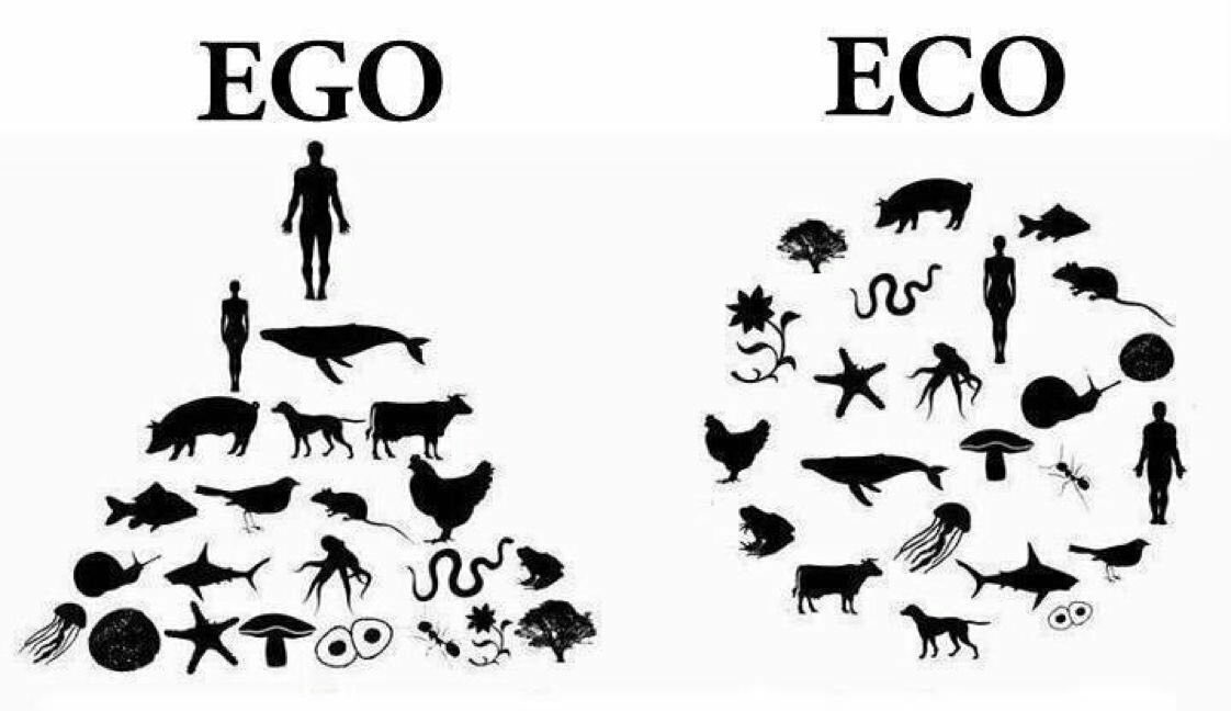 EGOsystem vs ECOsystem