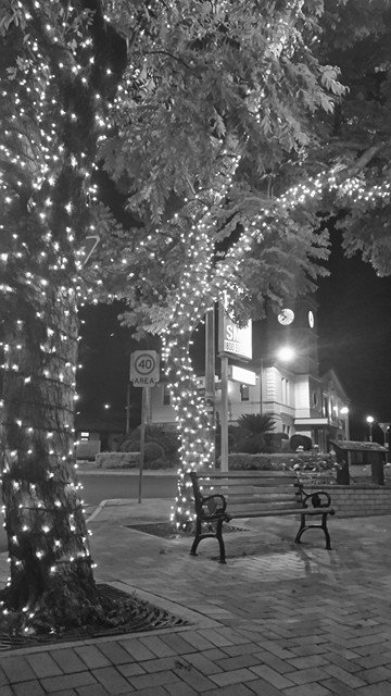 TP_Hogan's tweet photo. 7 day photo challenge. Black and white photos of your life. No people. No pets. No explanations.

Day 6

#7days #blackandwhite #photochallange #7daysofblackandwhite #trees #fairylights #mytown https://t.co/oUMRcEqJbF