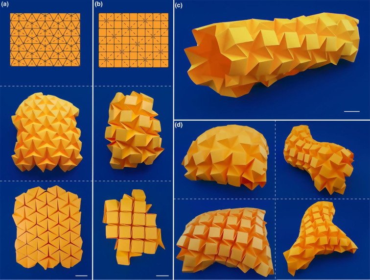 sebacallens's tweet photo. Our review paper in @MaterialsToday is online! We show how the arts of origami and kirigami can transform flat sheets into curved geometries. #origami #kirigami #geometry #science #art @amir_zadpoor https://t.co/AxaG9l0XTB