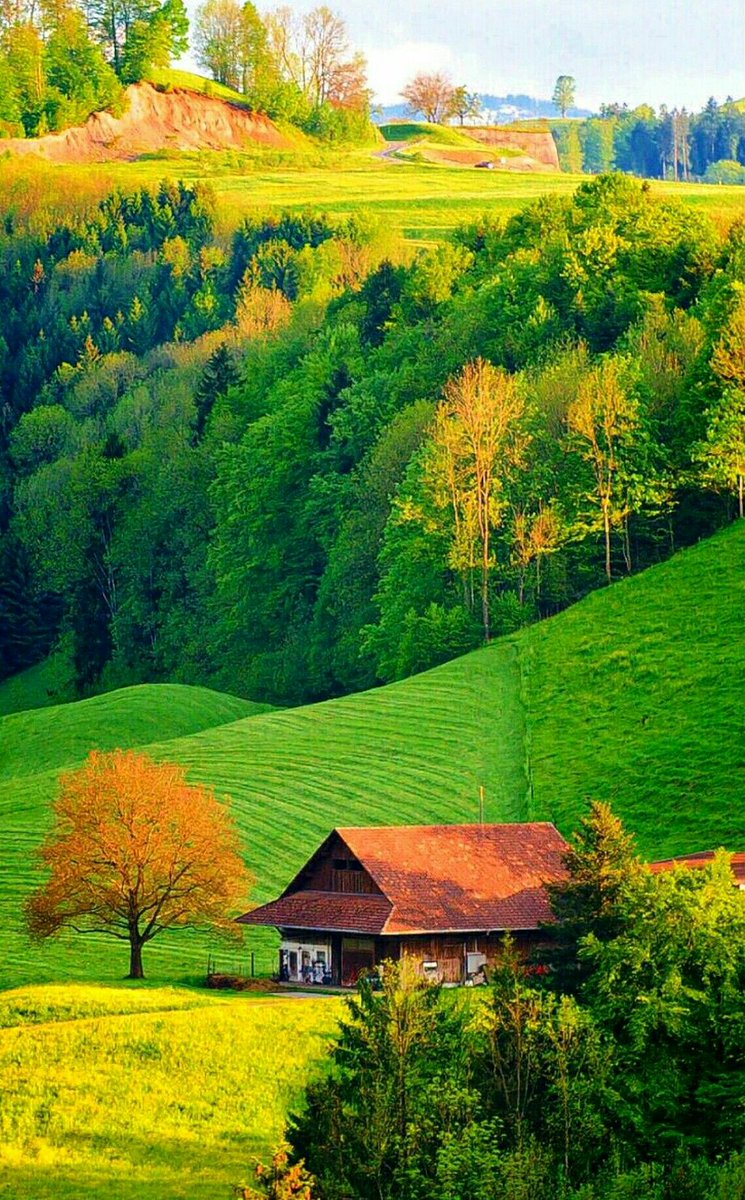 MarionSpekker's tweet photo. @huskorkut 
Good morning : ))
 my friend 🌿🌿 https://t.co/te5nuJ3P0O