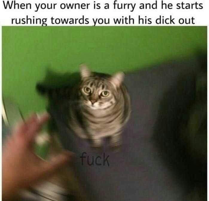 44 Memes Sure To Offend Someone Ftw Gallery