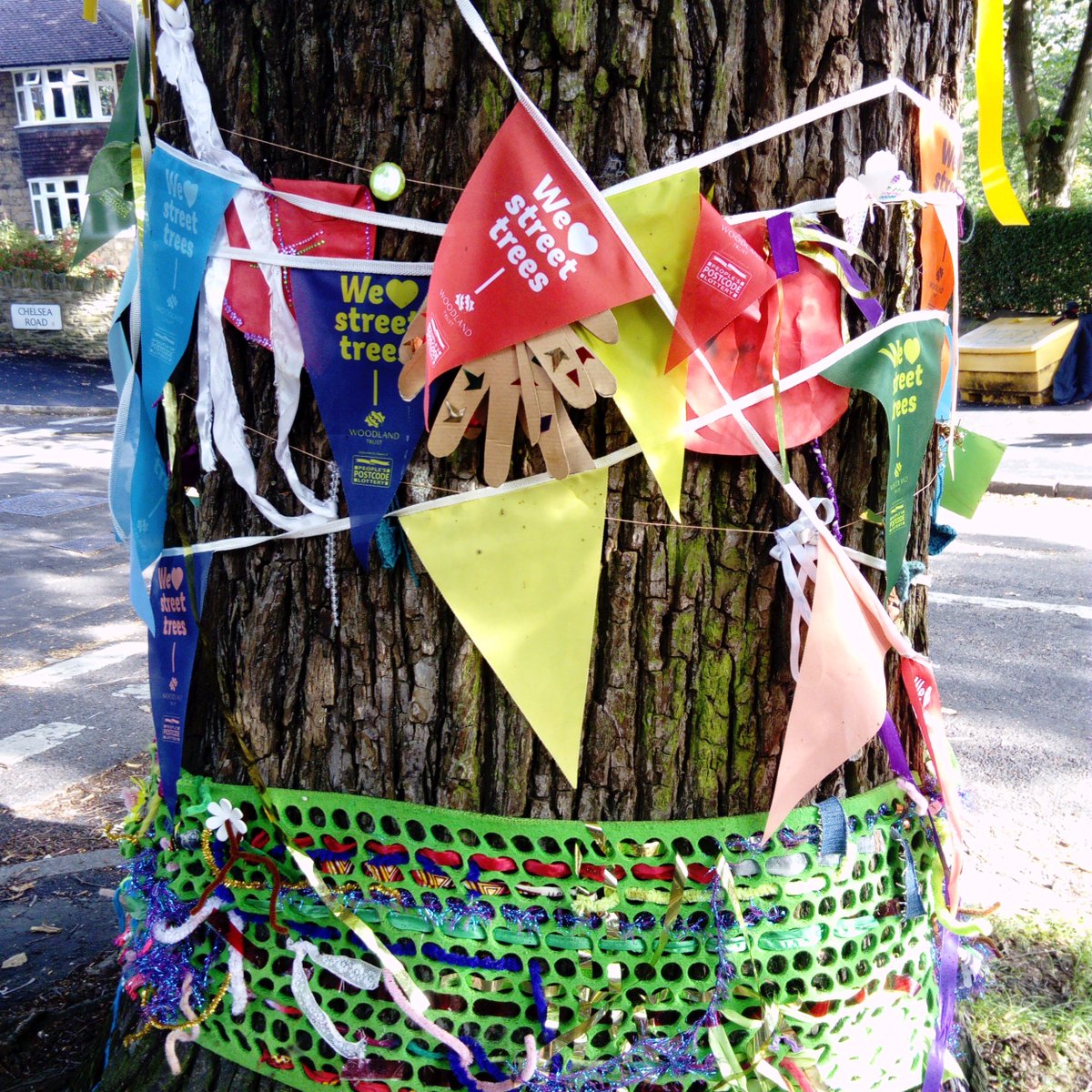 LMP36244505's tweet photo. #SaveShefTrees #chelsearoadelm @RachelRea5 @johnbwalkley @IdaSadida @GaleSteph @fionnstevenson @raringtoread @brian66artist @shelfhugger @juliegillin @declanw @chezoaktree @Joannarubies @glynncivil @theGreen_City @Tree_Surgeon4U @TreeWatchUK @Treespect @TREE_Fund @TreesSheffield https://t.co/XmXCLdSTzj