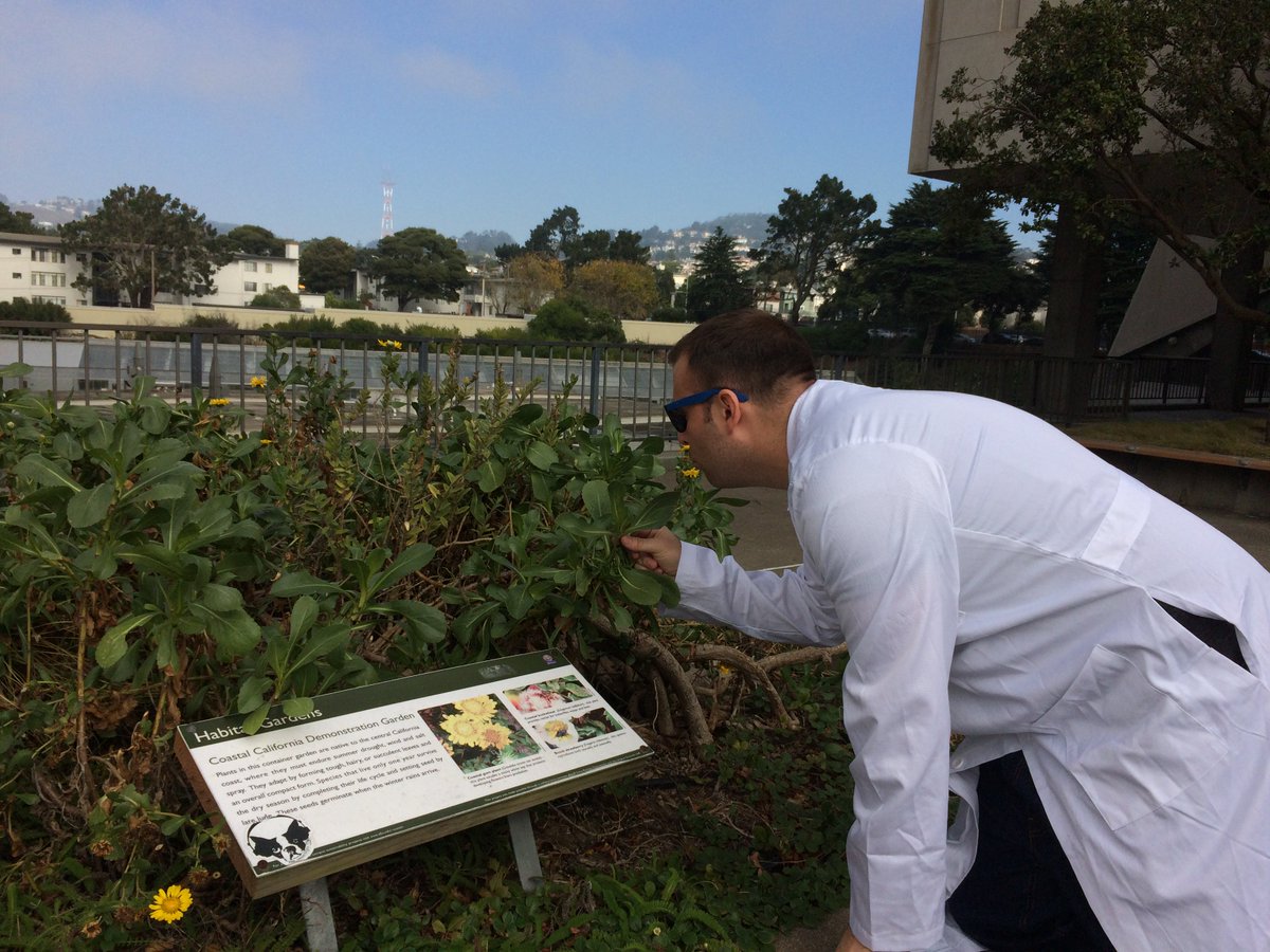 MikeNyeMicro's tweet photo. I wonder how many microbes are in the soil supporting directly or indirectly in this garden outside the Biology building at SF State!? Woah
#scicomm #SFStateBio @SFSU @calstate #sanfranciscostateuniversity #microbiology https://t.co/tRvP2EPLWe
